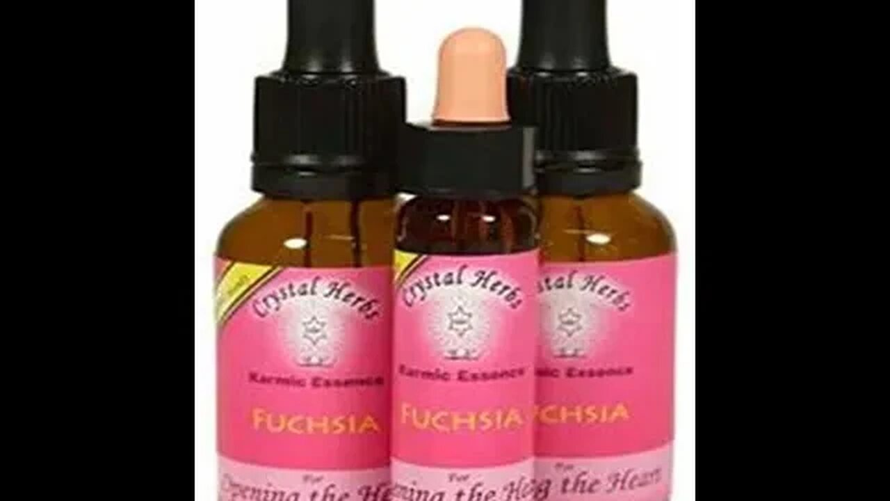 FUCHSIA - FLOWER ESSENCE