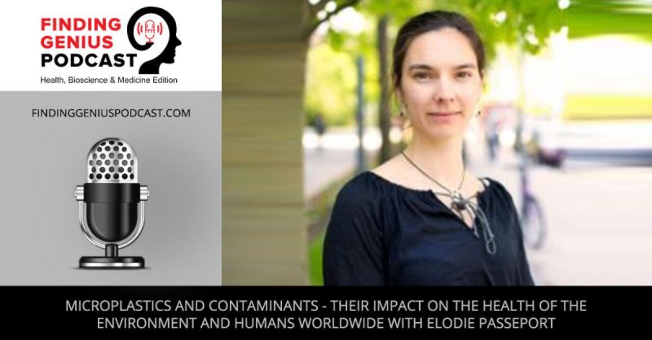 Microplastics and Contaminants - Their Impact on the Health of the Environment and Humans Worldwide