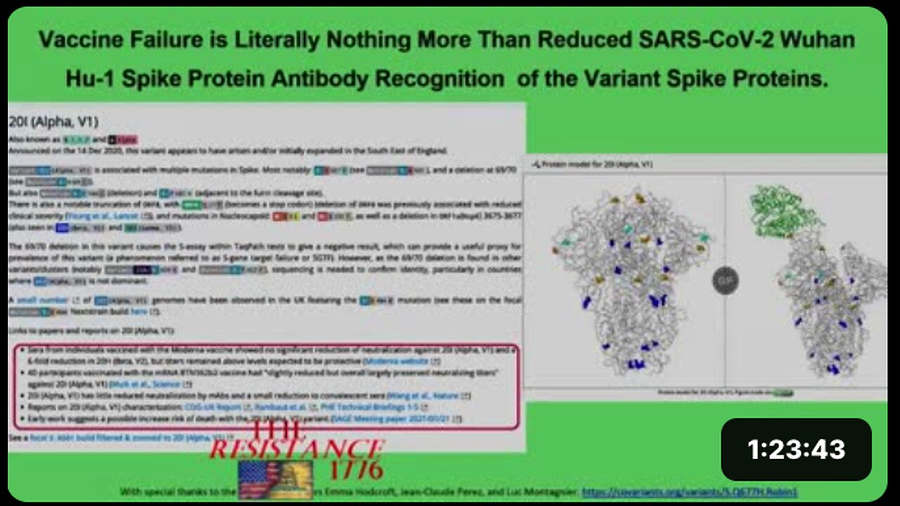 Dr. Richard Fleming Exposes What's Really Happening With Covid-19