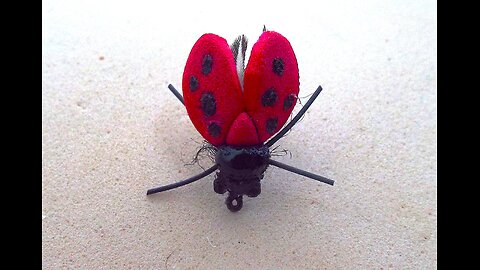 Foam Lady Bird Fly