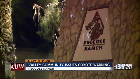 Residents warned about coyotes in Peccole Ranch