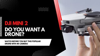 DJI Mini 2 Review