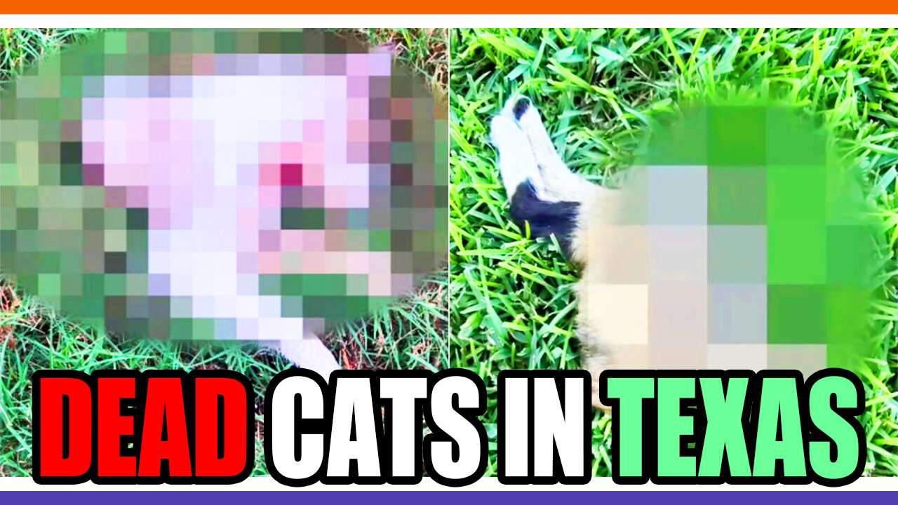 🔴LIVE: Eaten Cats In Texas, Dog Killer On The Loose, Protesting Banned On January 6th 2025 🟠⚪🟣