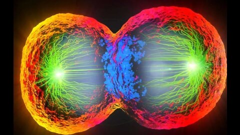 Caution! The Controllers Don't Want You Understanding These Deeper Mysteries!*Inner Circle Gnosis*
