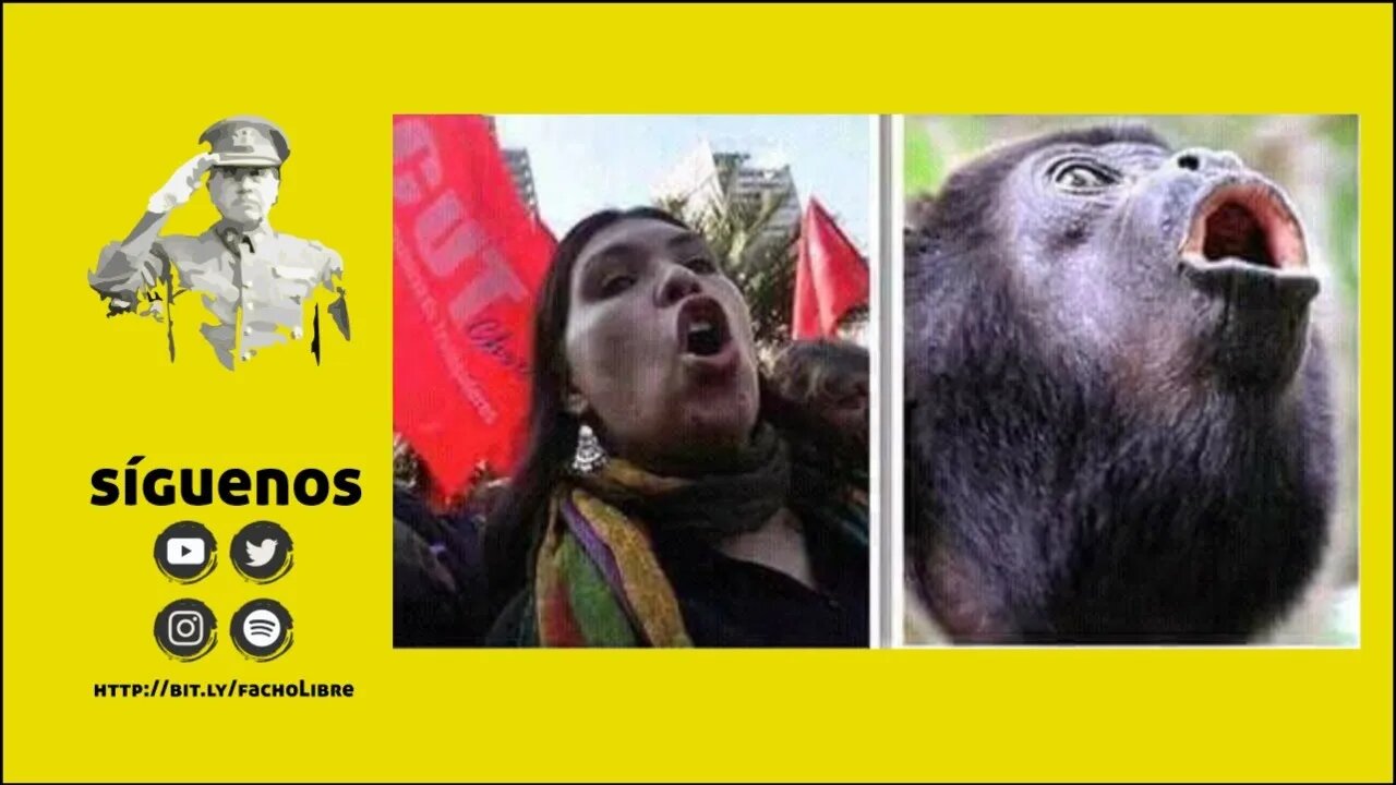 exportando fineza Bárbara Figueroa EMBAJADORA