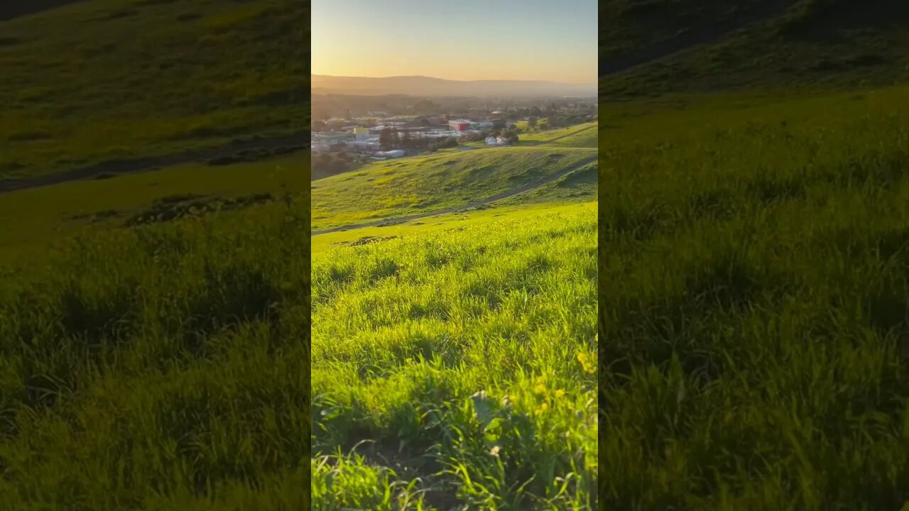 Wind at Montgomery hill park before Sunset with Evergreen Valley College in the background. #shorts