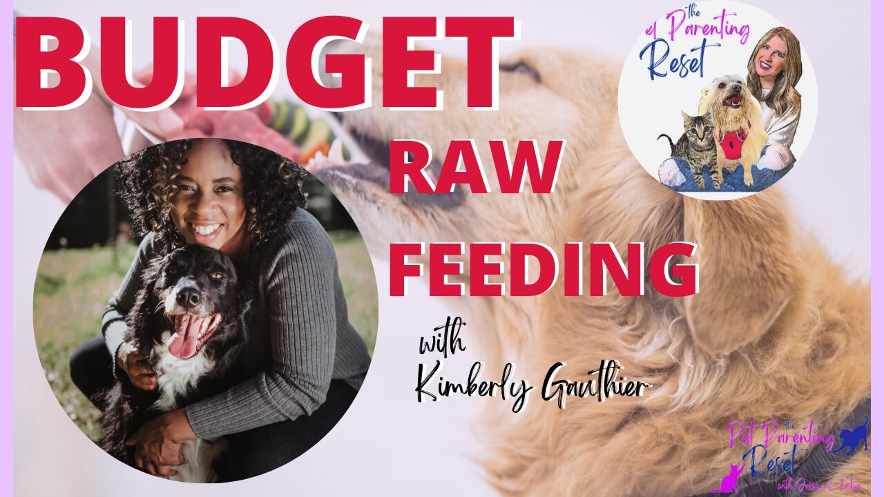 How To NOT Break The Bank When Feeding Your Dog Kimberly Gauthier Keep The Tail Wagging, ep 20