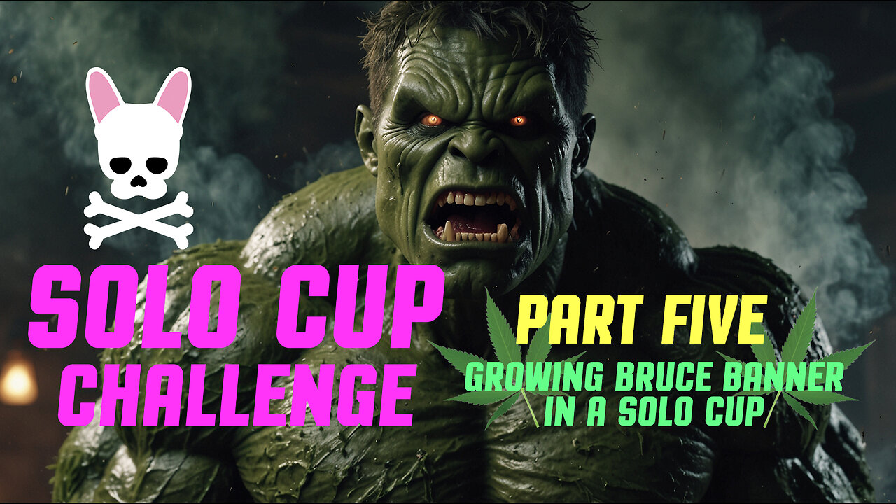 Solo Cup Challenge Episode 5 - Bruce Banner Auto