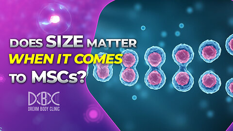 Does Size Matter When It Comes To Mesenchymal Stem Cells?