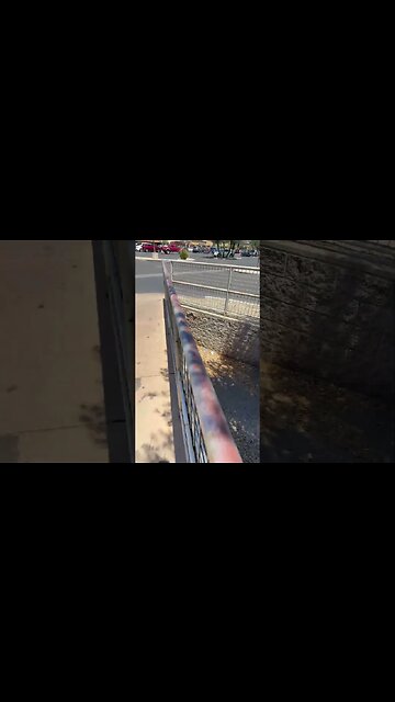 Homeless men with homeless girlfriends and a dog