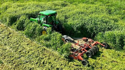 GRASS & WEEDS UP TO CAB! 52 HP Tractor + 10' Flex Wing Mower, Wedding Prep!