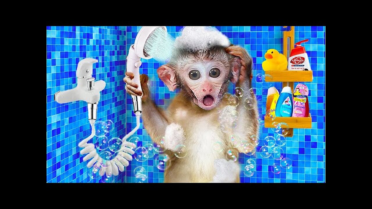 Adorable ROJO take his cute baby monkey to happy swimming pool