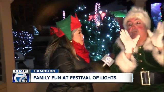 Wandering the Christmas tree forest at the Festival of Lights