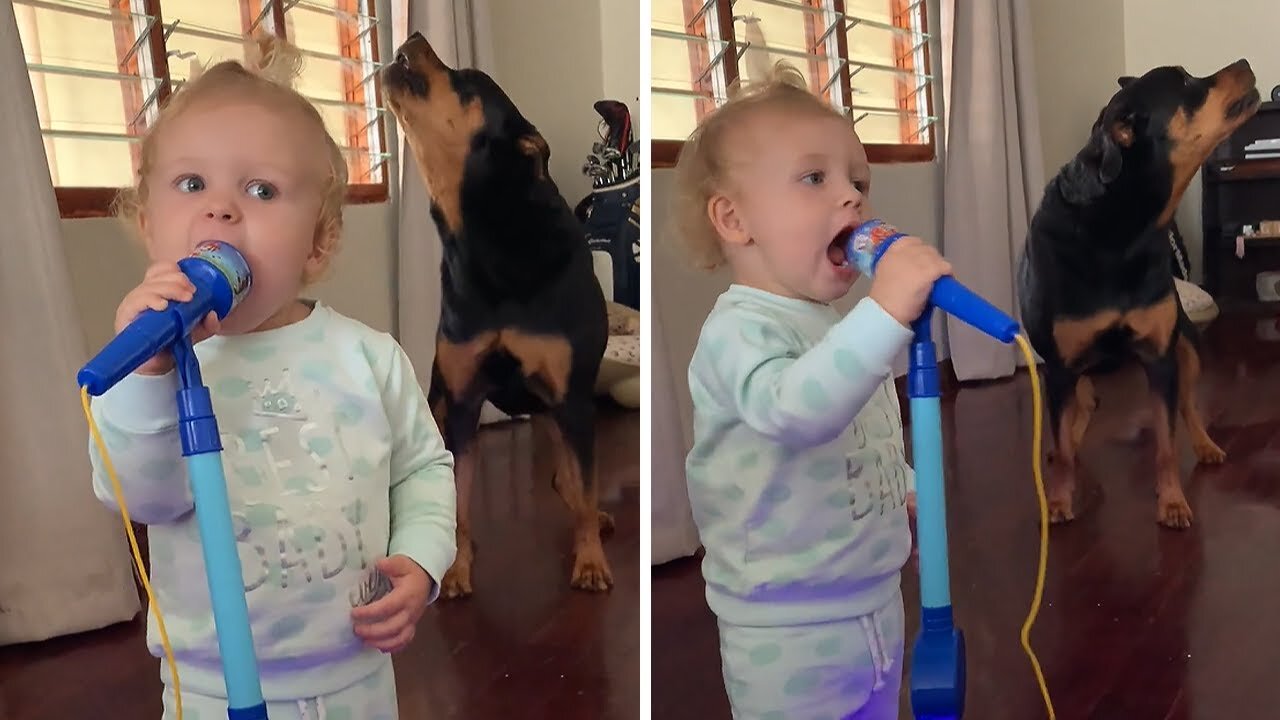 Husky sings with baby