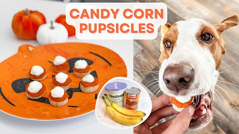 Candy Corn Pupsicle Dog Treats for Halloween