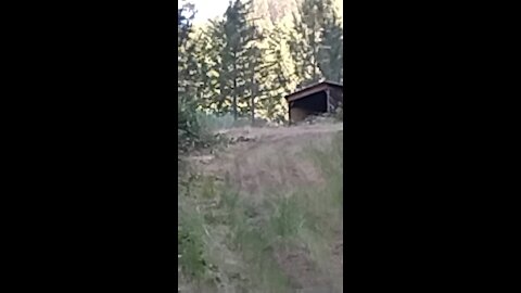 Upper fence line 3