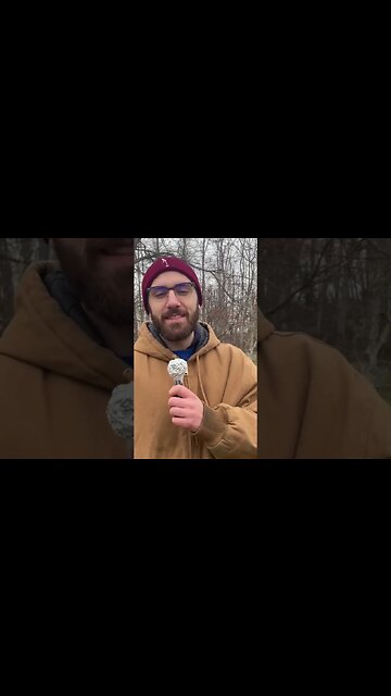 My Boyfriend Interviews My Horse #banksythehorse