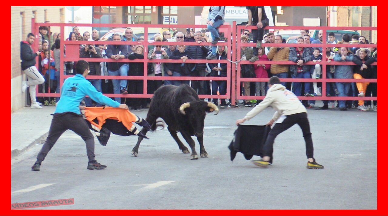 GRISEN ( ZARAGOZA ) TARDE VACAS EN CALLE ( DOMINGO 19 NOVIEMBRE 2023 ) GANAD.ENRIQUE DOMINGUEZ