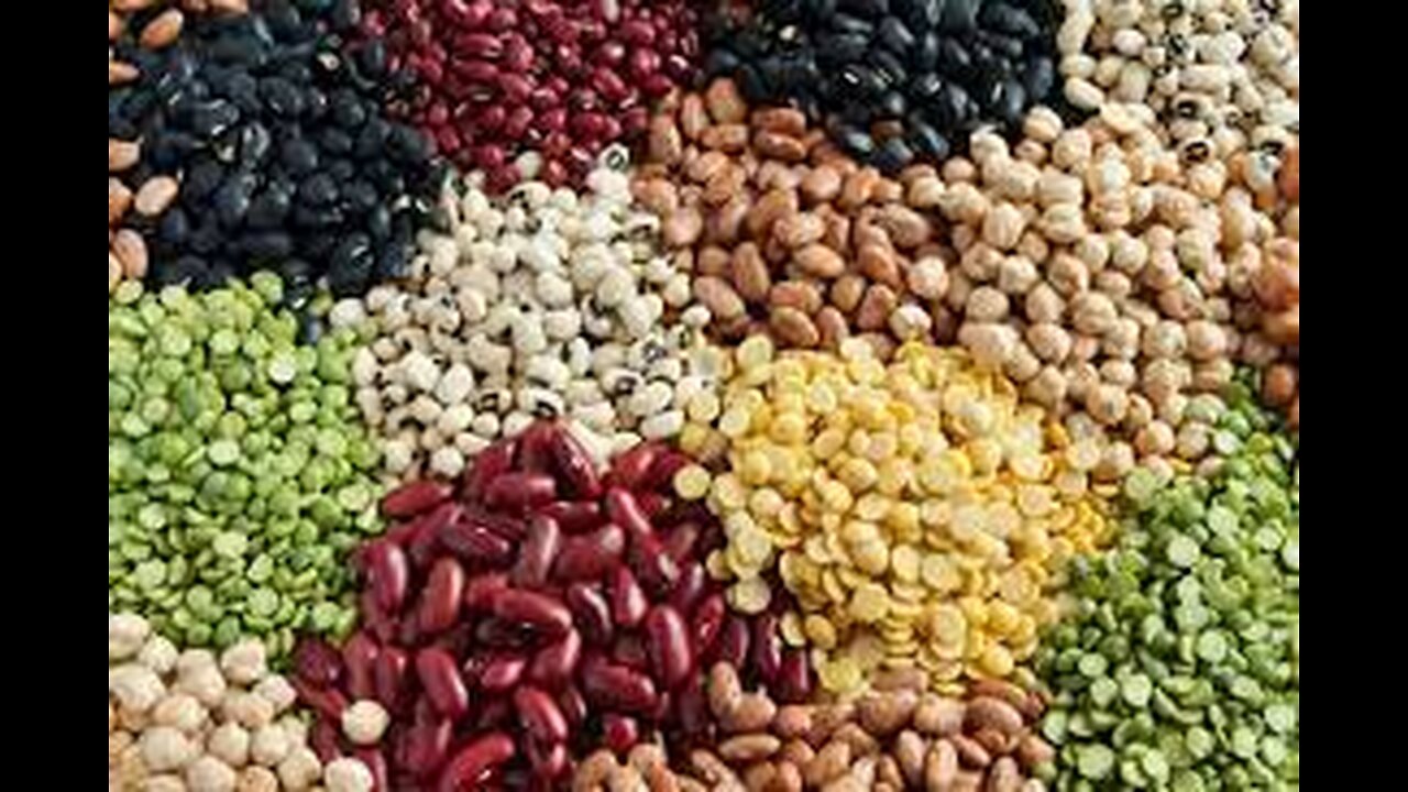 Eating Beans & Lentils Incredible Health Benefits- Mid blowing health benifits