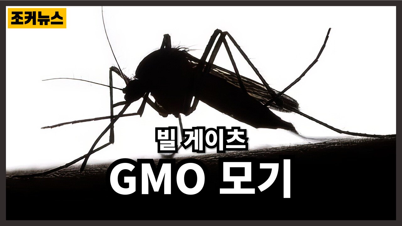 빌 게이츠, GMO 모기 그리고 치명적인 말라리아 발병 - Bill Gates, GMO mosquitoes, and a deadly malaria outbreak