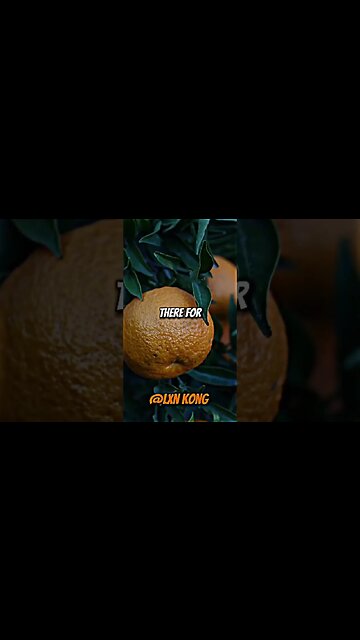 There Is NO COMPETITION!