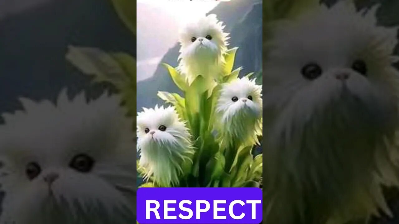 Respect 😁😁 #youtube #shorts #trending #viral