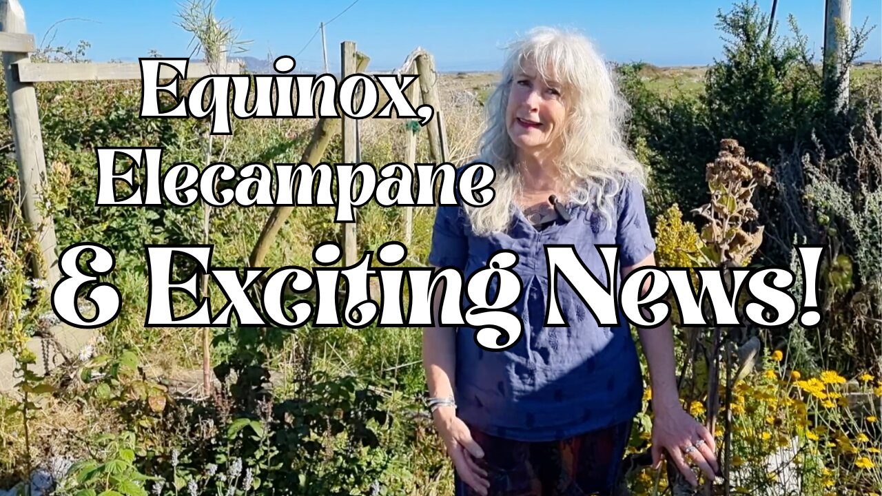 Equinox, Elecampane & Exciting News