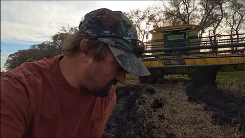 The Last Soybean Is A Swamp - The Ford 6000 Is Back In Action and Doing Some Fall Tillage!