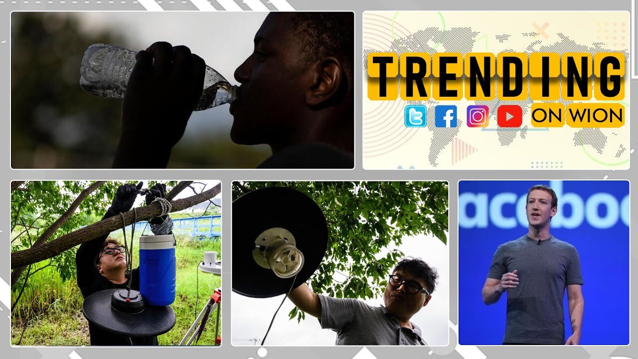 South Korea faces new border threat 'Malaria Mosquitoes' as temperature peaks | Trending on WION