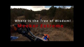 Where is the Tree of Wisdom!