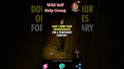 🔥Don't burn your opportunities🔥#shorts🔥#wildselfhelpgroup🔥7 December 2022🔥