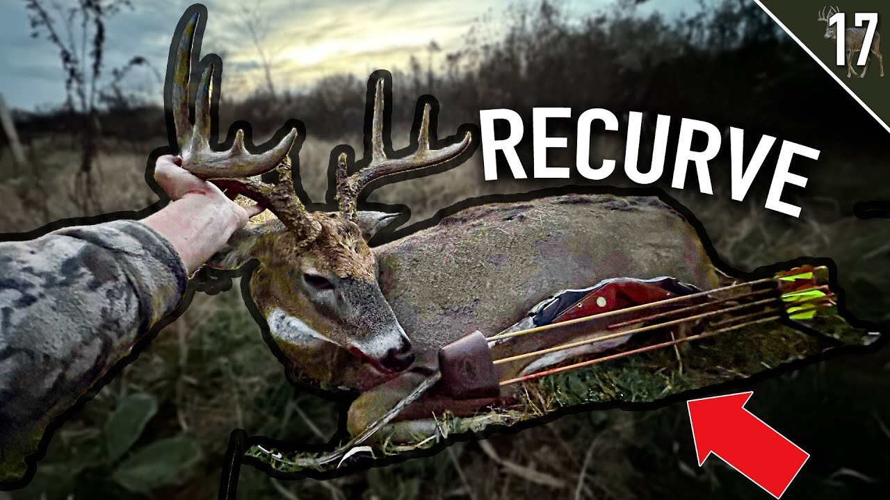 Wisconsin Traditional Bow Hunt - Set Up 80 Yards from BEDDED BUCK!