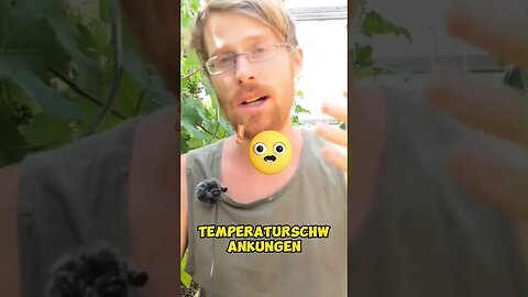 Gewohne deine Pflanzen an dein Klima #shorts