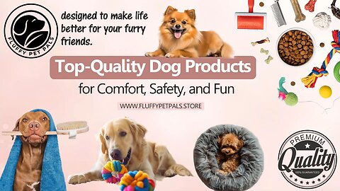 Fluffypetpals: Top-Quality Dog Products for Comfort, Safety, and Fun