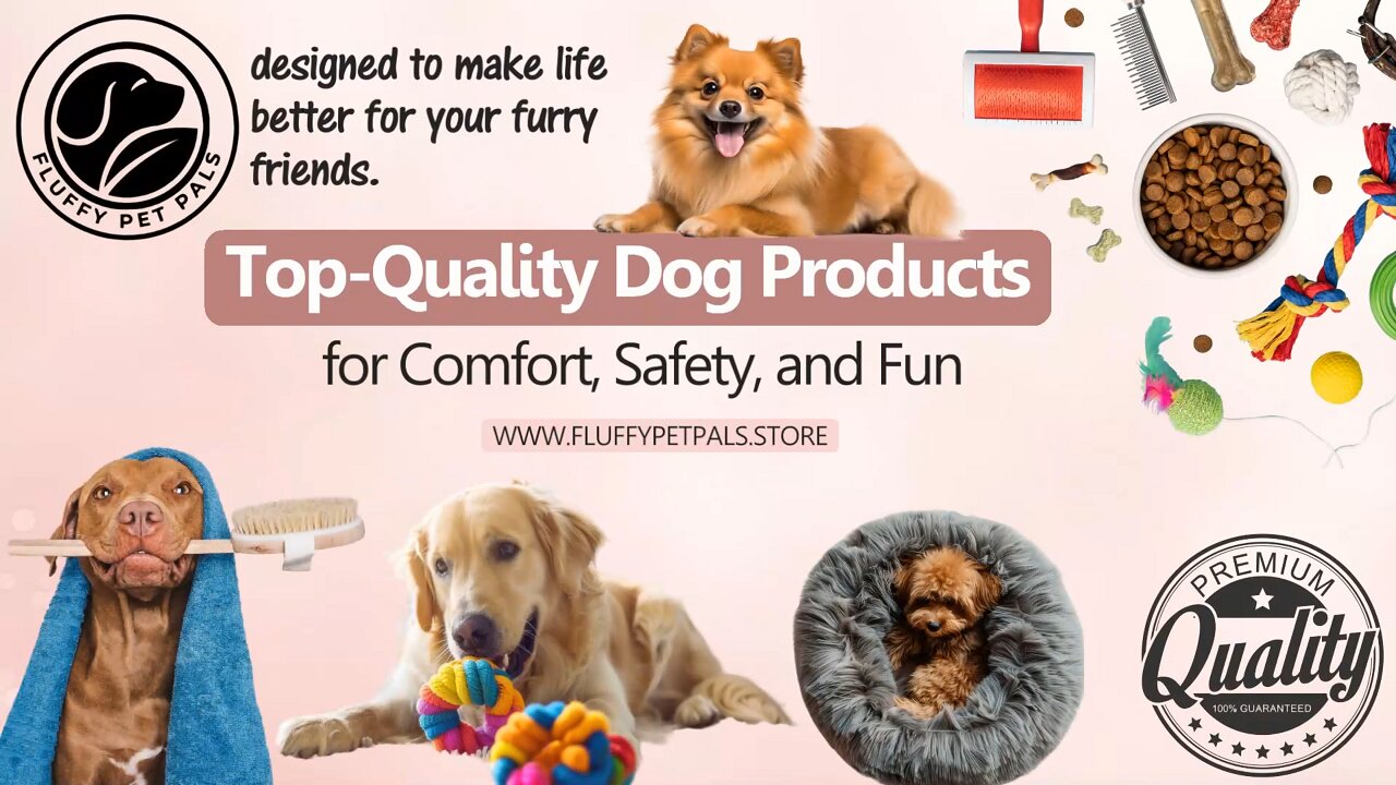 Fluffypetpals: Top-Quality Dog Products for Comfort, Safety, and Fun