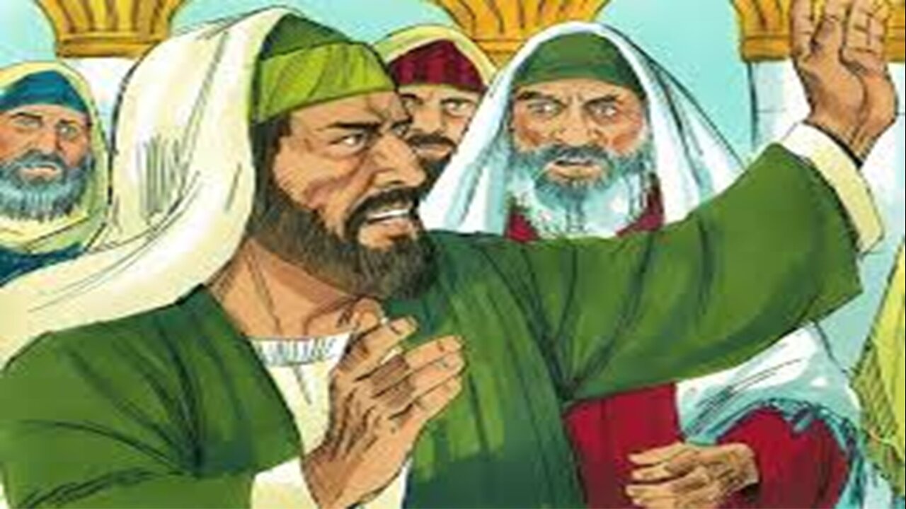 New Testament In A Year - Day 210