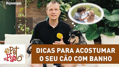 Pet Na Pan #28 - dicas para acostumar o seu cão com banho