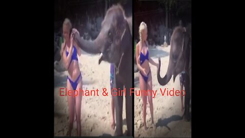Elephant & Girl Funny Video