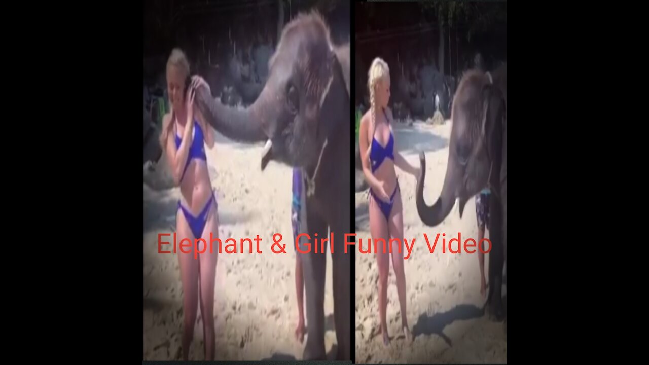 Elephant & Girl Funny Video