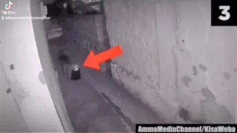 The Possessed Individual