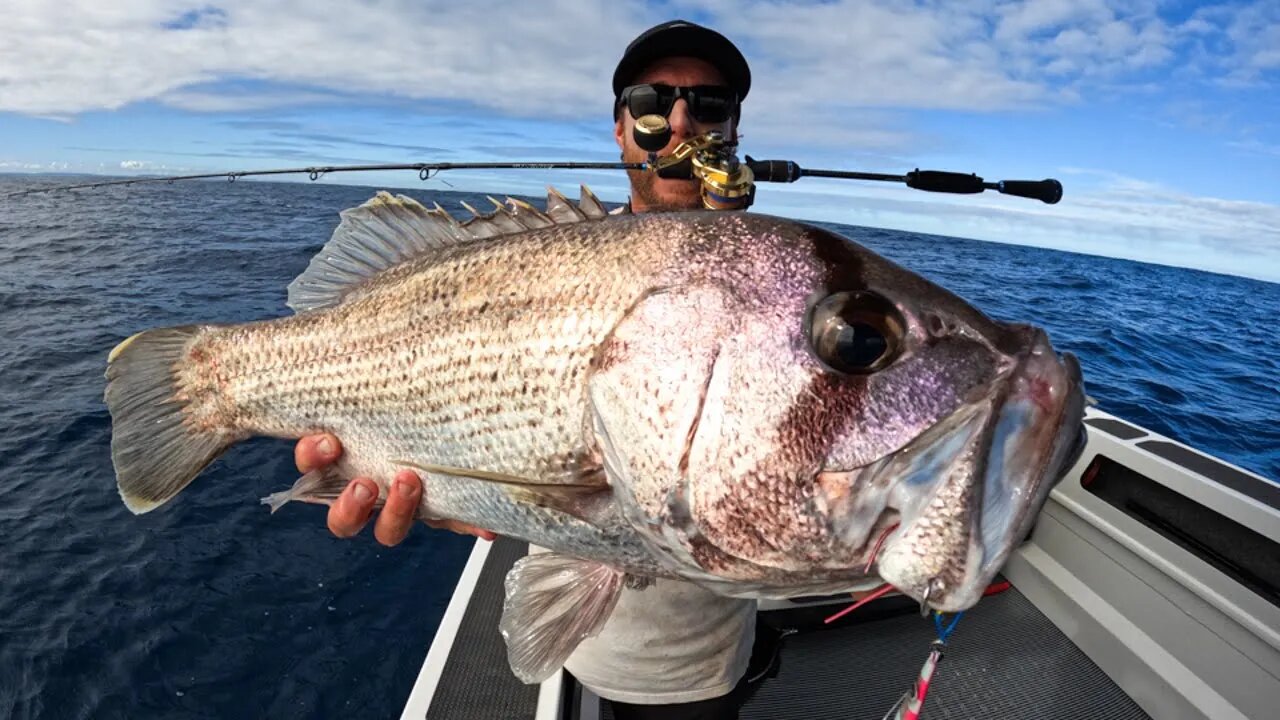 CATCH AND CLEAN GIANT FISH. New fishing boat.