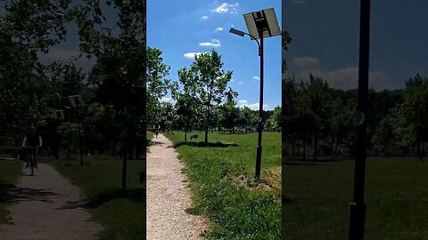 IZVOR Park: A hidden gem in Bucharest you need to see! #shorts
