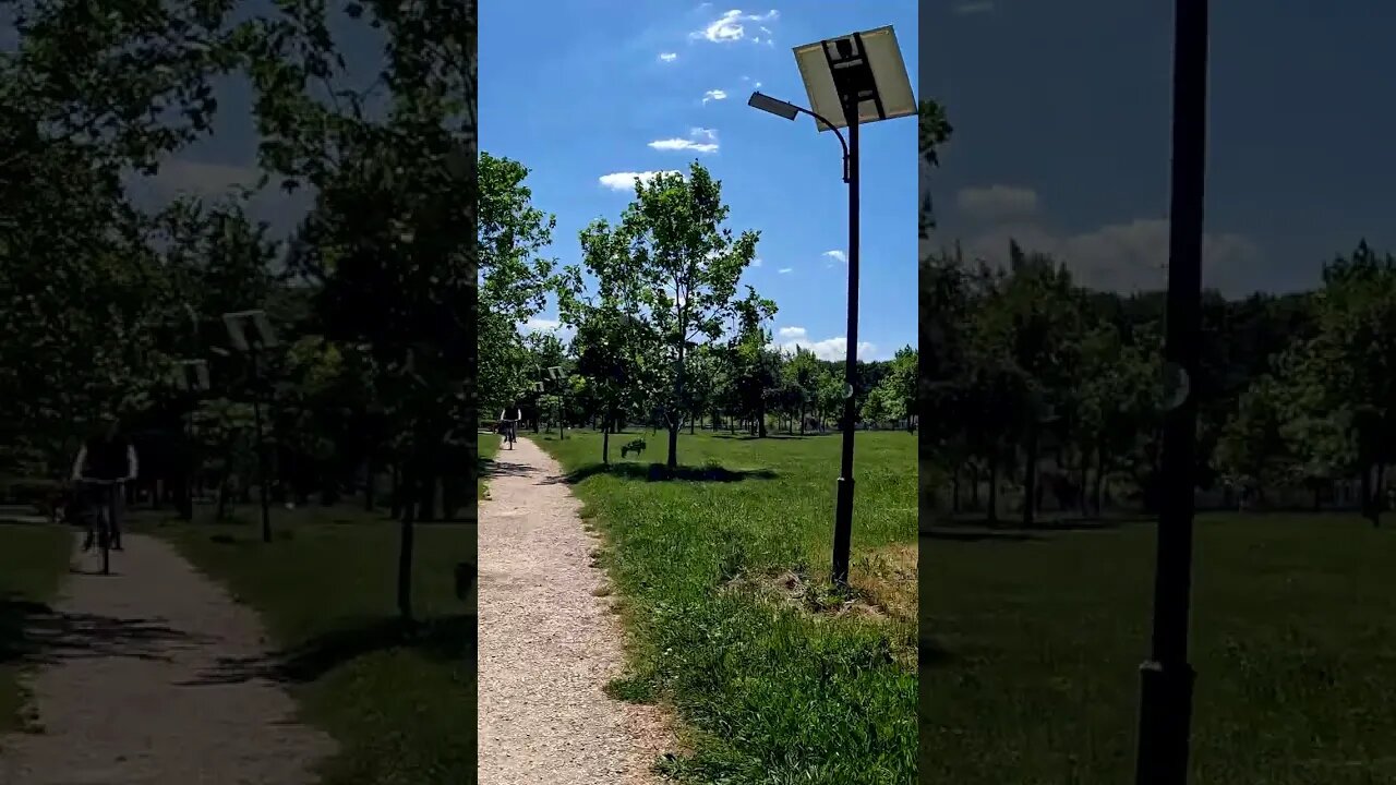 IZVOR Park: A hidden gem in Bucharest you need to see! #shorts