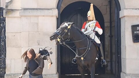 Kings guard horse grabs tourist by her back pack #horseguardsparade