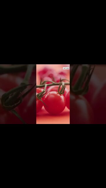 Tomato Soup , So Simple and Delicios Anyone Can Make #shorts