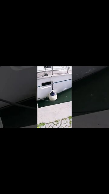 Provisioning a boat - it’s a process! #shorts