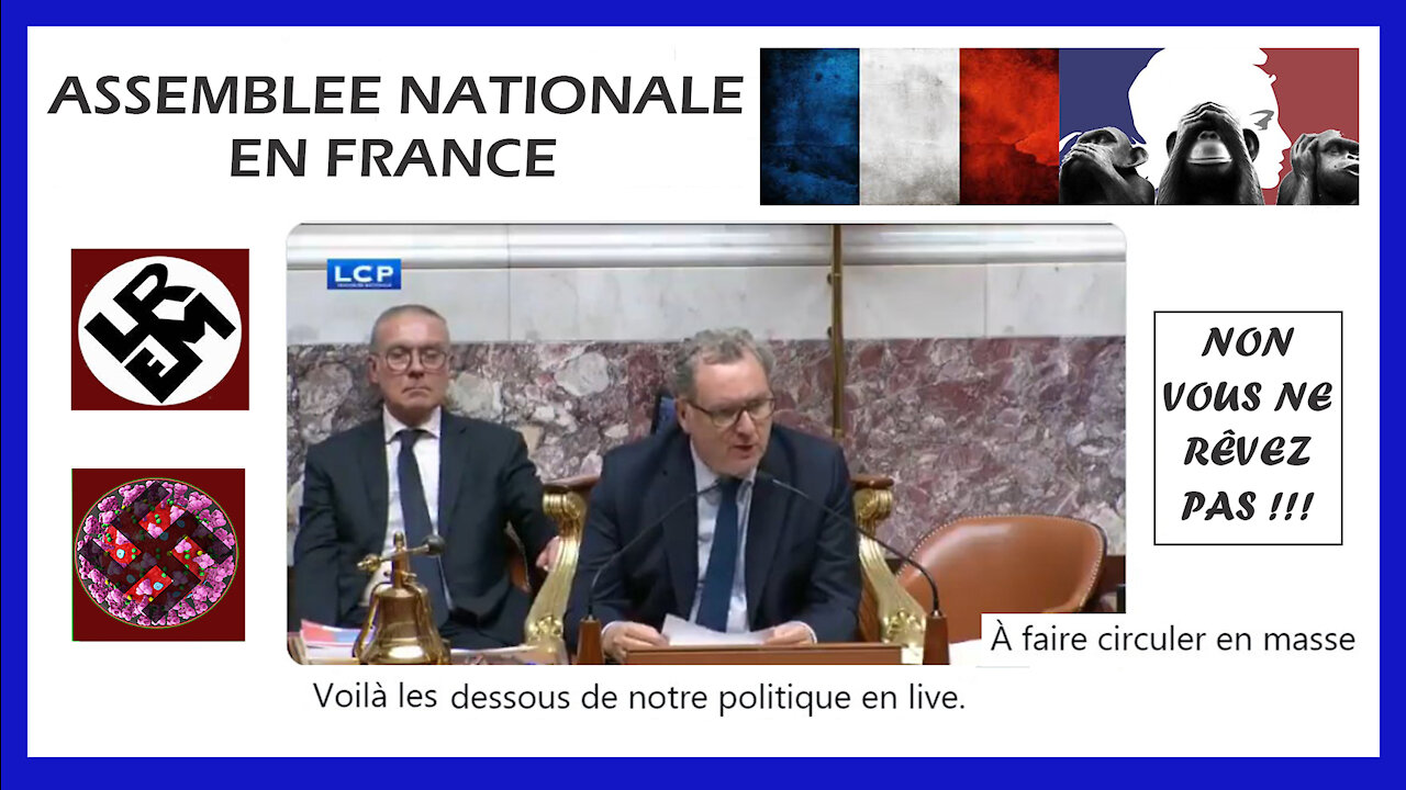 L'Assemblée Nationale n'a plus son "mot à dire"! La preuve... (Hd 1080)