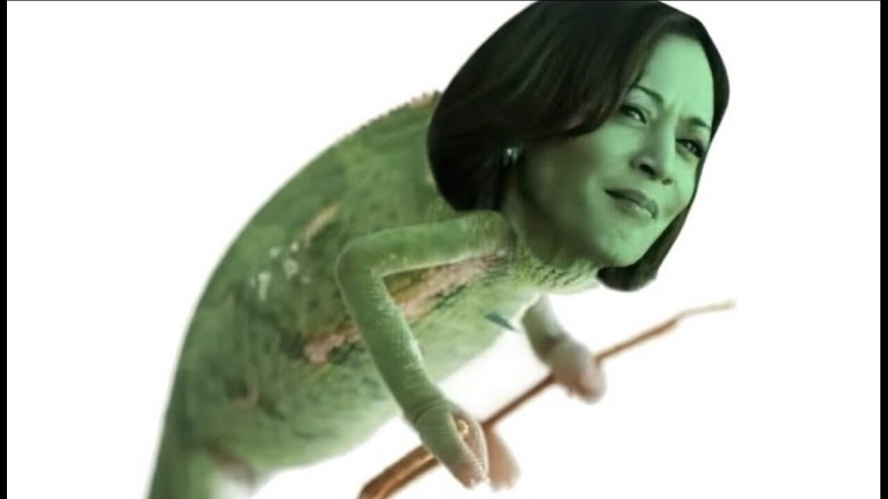 Kamala Kameleon