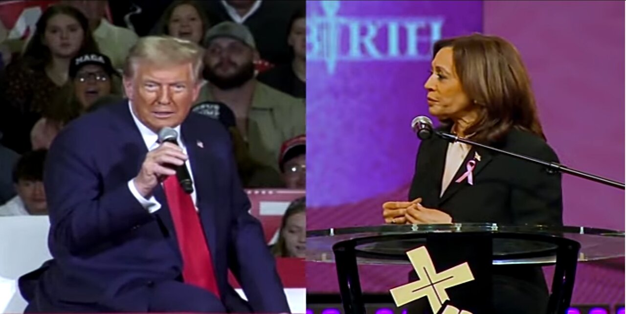 Tight race in Michigan : Harris and Trump fight for every vote in swing