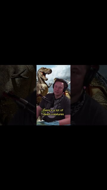 Why crocodiles survived the mass extinction of the dinosaurs? Answered by Elon Musk #shorts